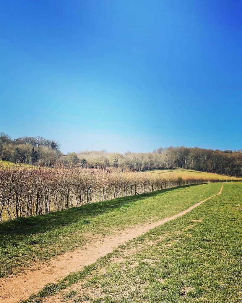 Misbourne trail run race photograph 19