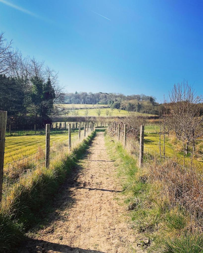Misbourne trail run race photograph 18